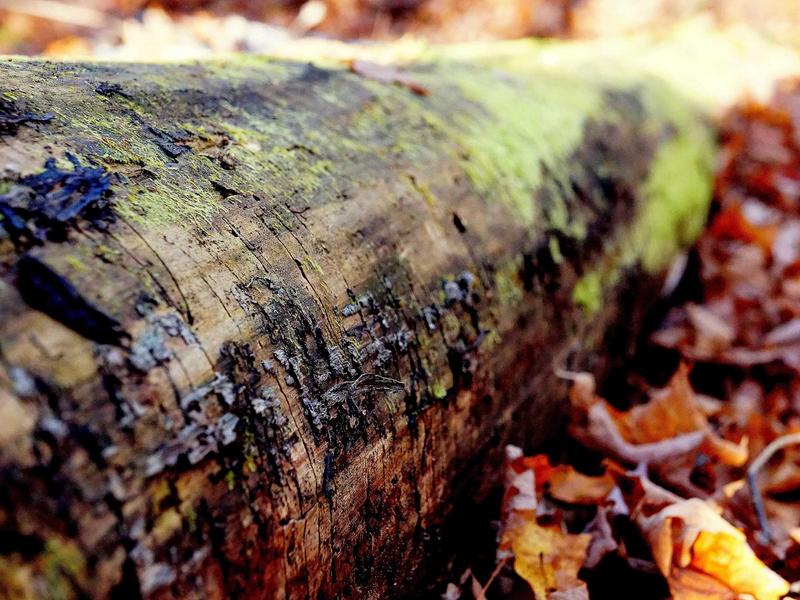 sudoku kids version screenshot 1