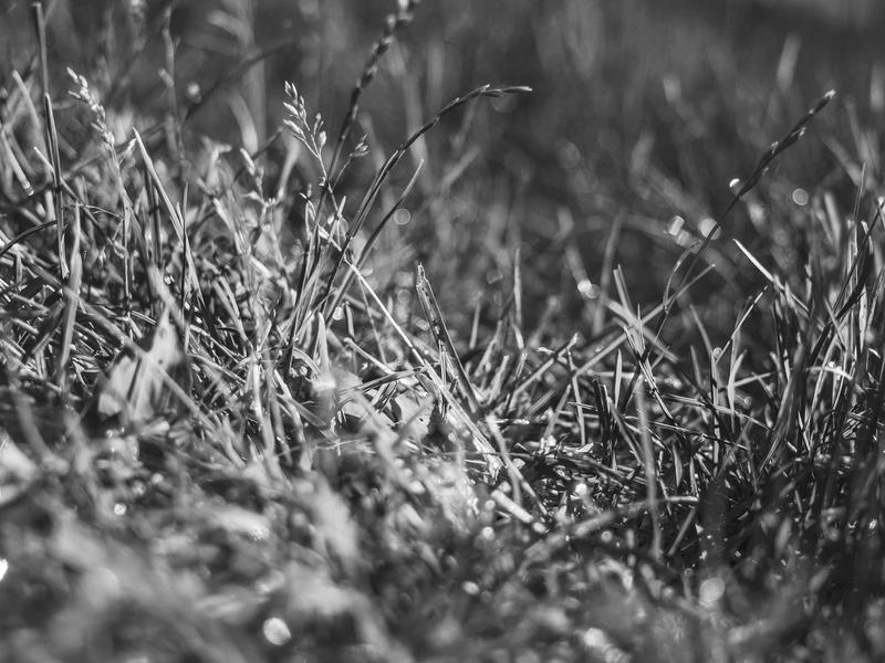 sudoku kids version screenshot 3